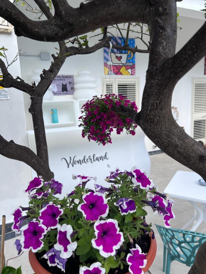Gasthof Wonderland San Teodoro (Sardinia)